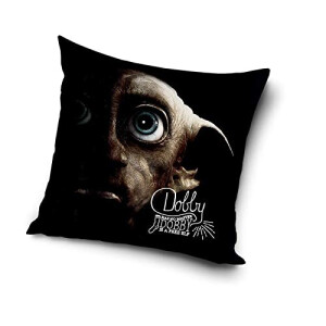 Coussin Harry Potter 40x40 cm