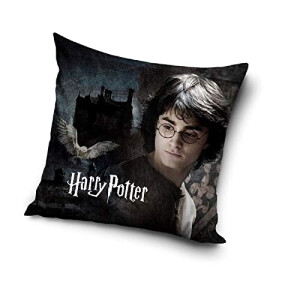 Coussin Poudlard - Harry Potter - multicolore 40x40 cm