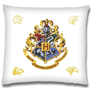 Coussin Hermione Granger, Gryffondor, Hogwarts - Harry Potter - multicolore 40x40 cm
