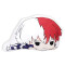 Coussin Shoto Todoroki - My Hero Academia - motiv: shoto 30x45 cm - miniature