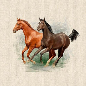 Coussin Cheval chevaux 45x45 cm