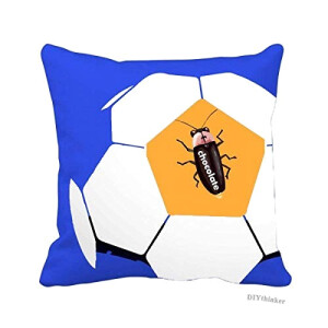 Coussin Cafard multicouleur 40x40 cm