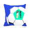Coussin Cigale multicouleur 40x40 cm - miniature