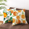 Coussin Kiwi style 45x45 cm - miniature variant 4